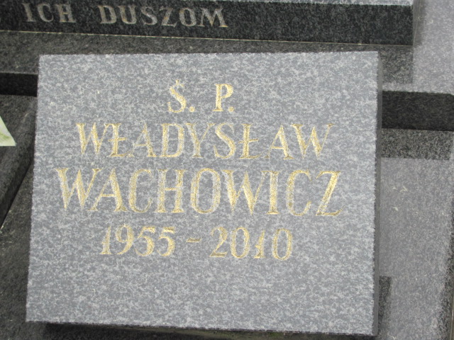 Kazimierz Wachowicz 1924 Tuszyn - Grobonet - Wyszukiwarka osób pochowanych